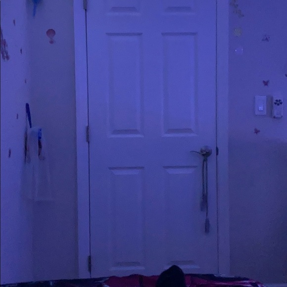 Meet your Posher, Ginger - Picture 1 of 1